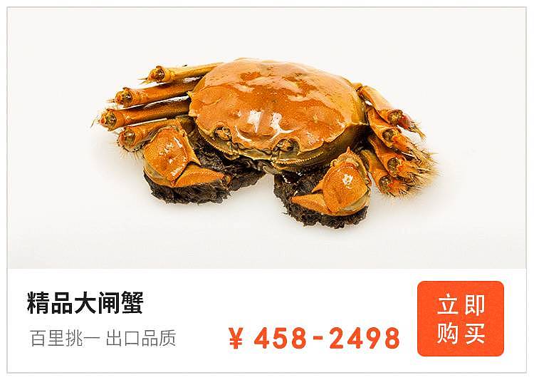 日薪3000的挑蟹师，保证每只螃蟹都是极品 | 美好心选 - 13