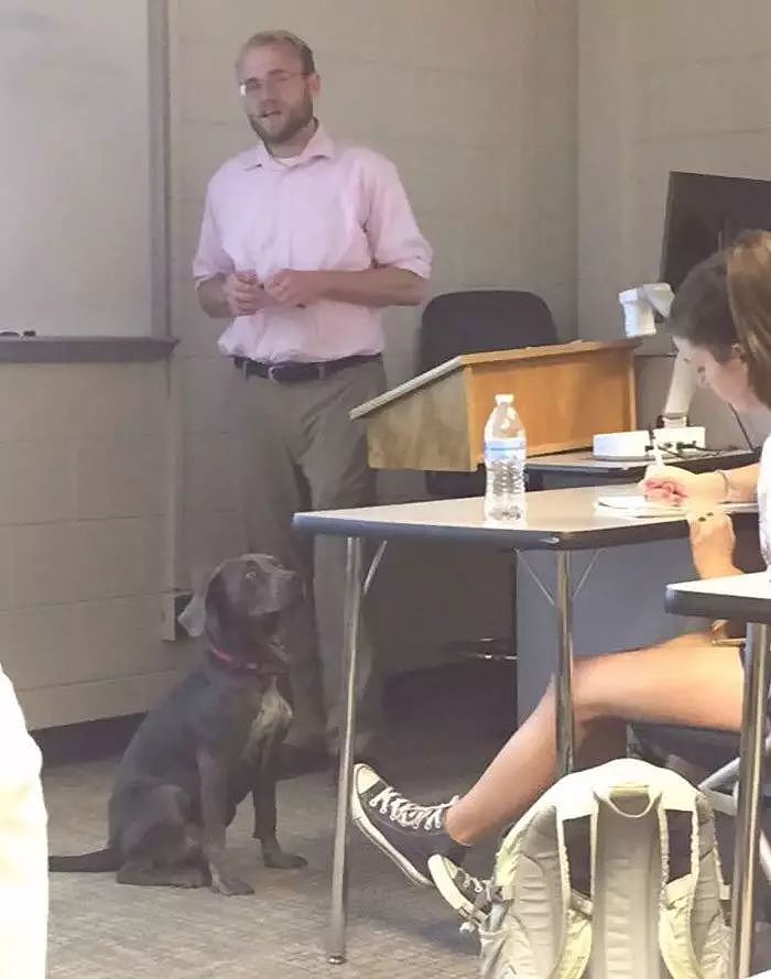 因飓风侵袭，一名大学生想带着狗狗一起上课，没想到老师的反应赞爆了！ - 7