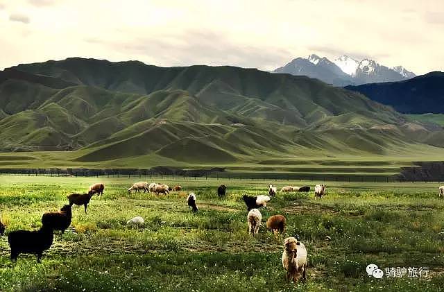 新疆竟有个神奇处女奇观，惊艳奇绝，比美国大峡谷更震撼！ - 46
