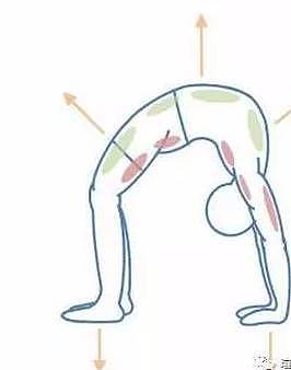 这样分解瑜伽轮式，腰围掉了12CM，赢得减肥这场战役 ‖ Daily Yoga - 4