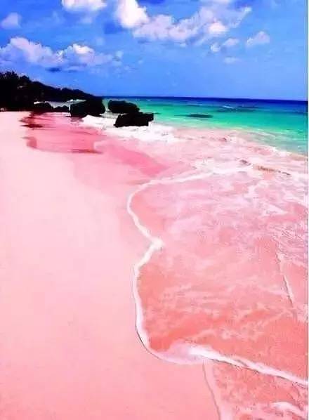 世界上唯一的粉色沙滩，最性感的海滩免签了 - 6