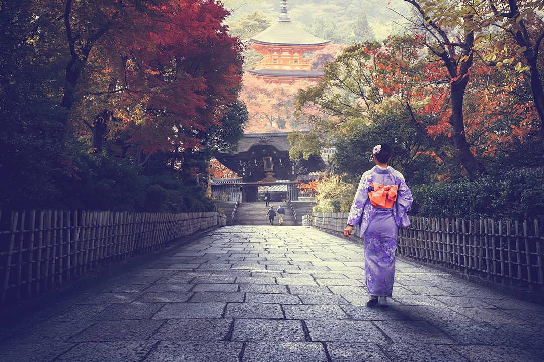 秋天日本旅行，这是最浪漫的打开方式 - 28