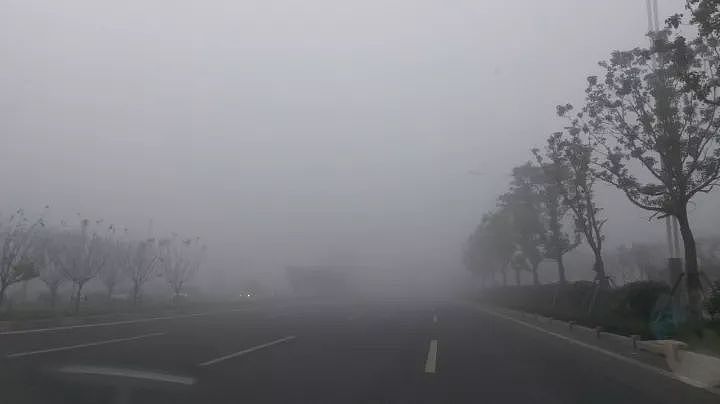 安徽30余车连环相撞18人死亡 “团雾”究竟有多可怕？ - 5