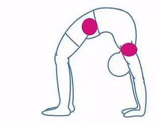 这样分解瑜伽轮式，腰围掉了12CM，赢得减肥这场战役 ‖ Daily Yoga - 15