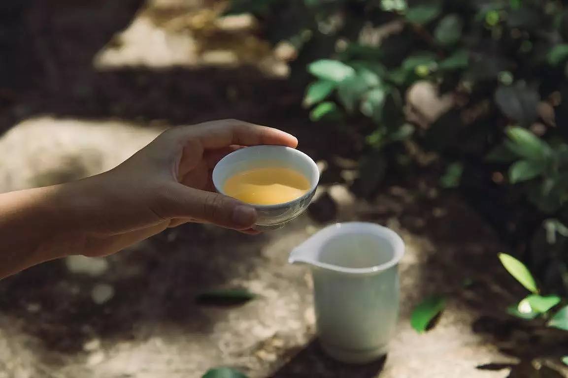 两年烘焙四次，浙大研究生做了30年茶终成一代茶匠｜美好心选 - 15