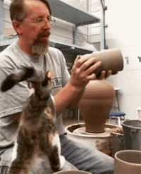主人在做陶瓷，猫却一直黏着，看主人不理，于是轻咬了一口后... - 1