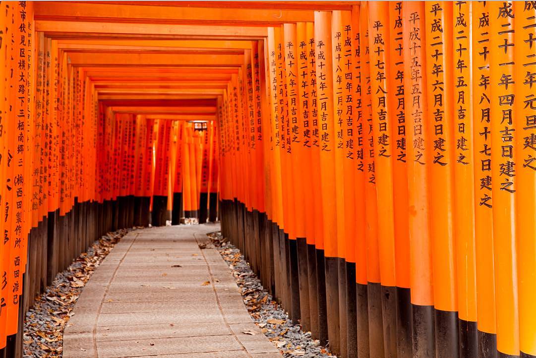 秋天日本旅行，这是最浪漫的打开方式 - 27