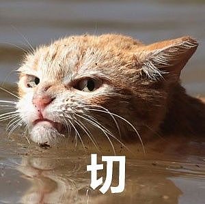 推主拍到一只因主人公寓被水淹了后，而被迫游泳的猫，这眼神... - 4