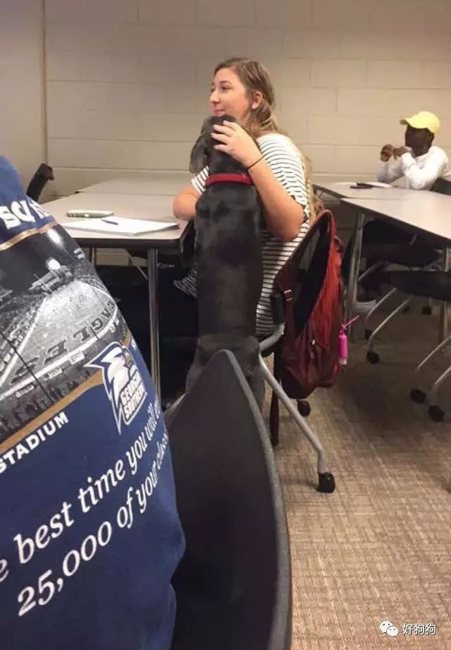 带狗子去上班算啥，这个小姐姐直接带狗子去上大学了！ - 3