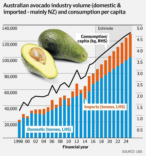 农产品商Costa：靠水果种出38倍市盈率的“爆款” - 6