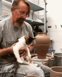 主人在做陶瓷，猫却一直黏着，看主人不理，于是轻咬了一口后... - 3