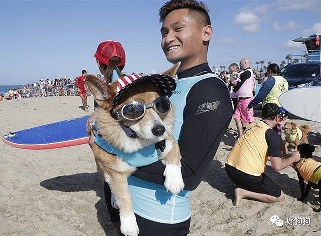 近期，在美国加州举办了一场狗狗冲浪比赛，看完太羡慕这些狗子了…… - 8