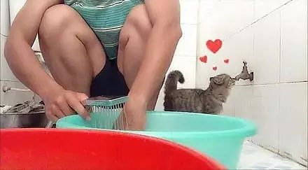 猫一开始还美滋滋的在浴室里瞎逛，当得知主人要给它洗澡之后... - 1