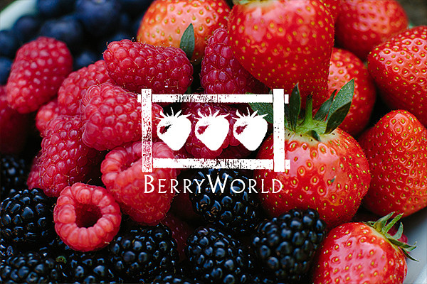 水果当然要现摘现吃才过瘾啦！一年一度的采摘季又到，樱桃、草莓、蓝莓们，快到篮子里来！ - 29