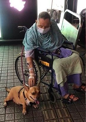 爱犬来医院“探班”，绝食数天的痴呆症爷爷终于想吃饭了… - 6