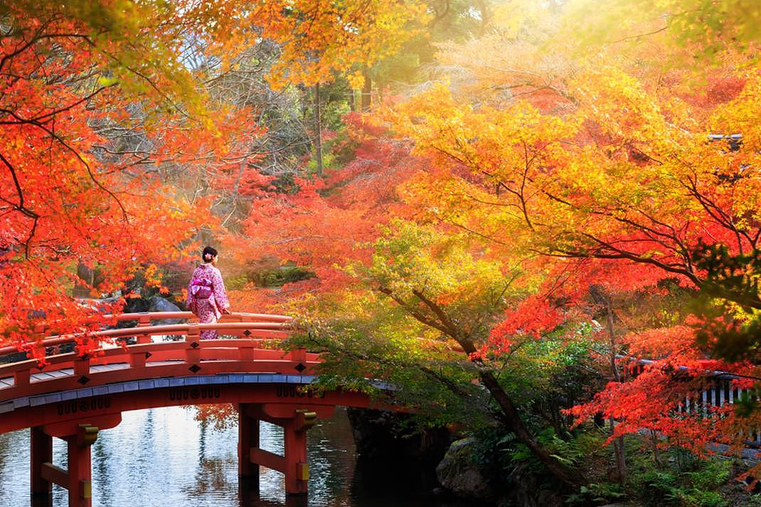秋天日本旅行，这是最浪漫的打开方式 - 20