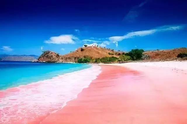世界上唯一的粉色沙滩，最性感的海滩免签了 - 24