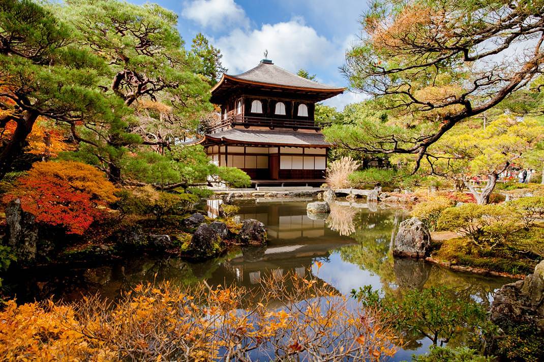 秋天日本旅行，这是最浪漫的打开方式 - 29