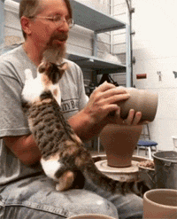 主人在做陶瓷，猫却一直黏着，看主人不理，于是轻咬了一口后... - 2