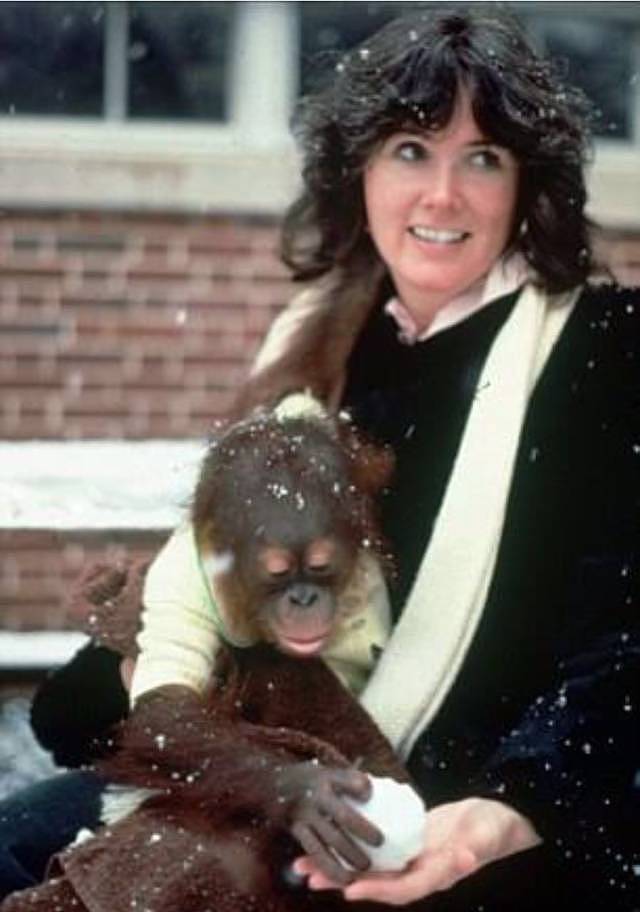 被囚禁30年的红毛猩猩抑郁离世，因为拥有人类的灵魂被关进牢笼，最后的遗愿是吃一口冰淇淋 - 5