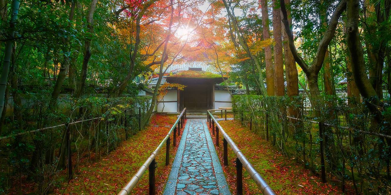 秋天日本旅行，这是最浪漫的打开方式 - 15