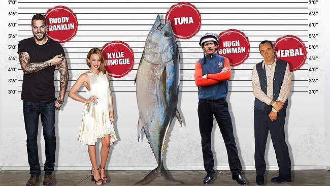吃货们感动哭了！一大波巨型蓝鳍金枪鱼涌入悉尼港！千万身价的顶级美味，原来就在悉尼这里吃… - 4