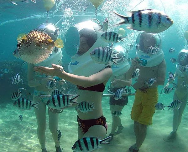 去泰国玩千万小心这个项目！中国女游客“海底漫步”时溺亡 - 2