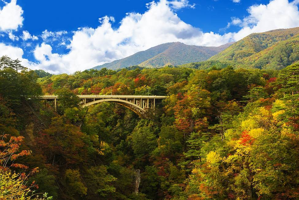 秋天日本旅行，这是最浪漫的打开方式 - 30