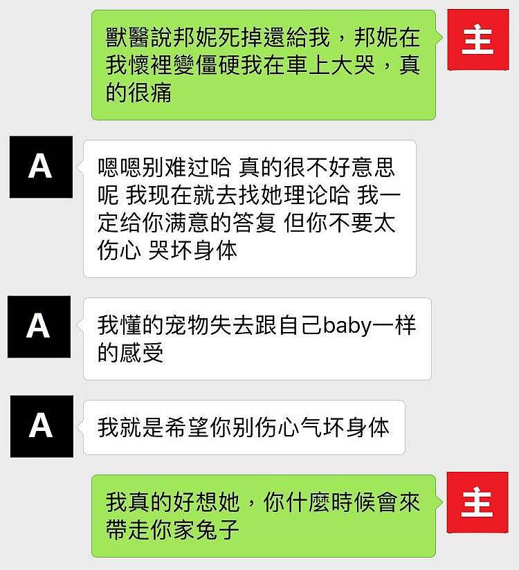 悲剧！华人寄养竟导致母兔难产而死！公兔早已结扎“没有蛋蛋”？到底谁该负责？ - 19