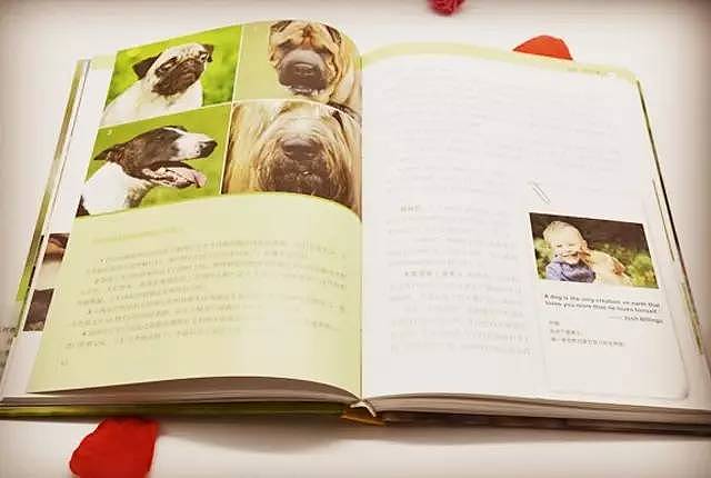 你真的知道你家狗狗的日常行为代表什么吗，在这本书里你都可以找到答案！ - 7