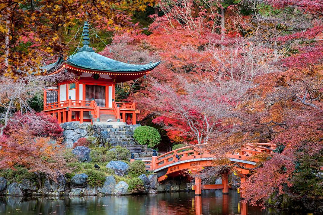 秋天日本旅行，这是最浪漫的打开方式 - 7