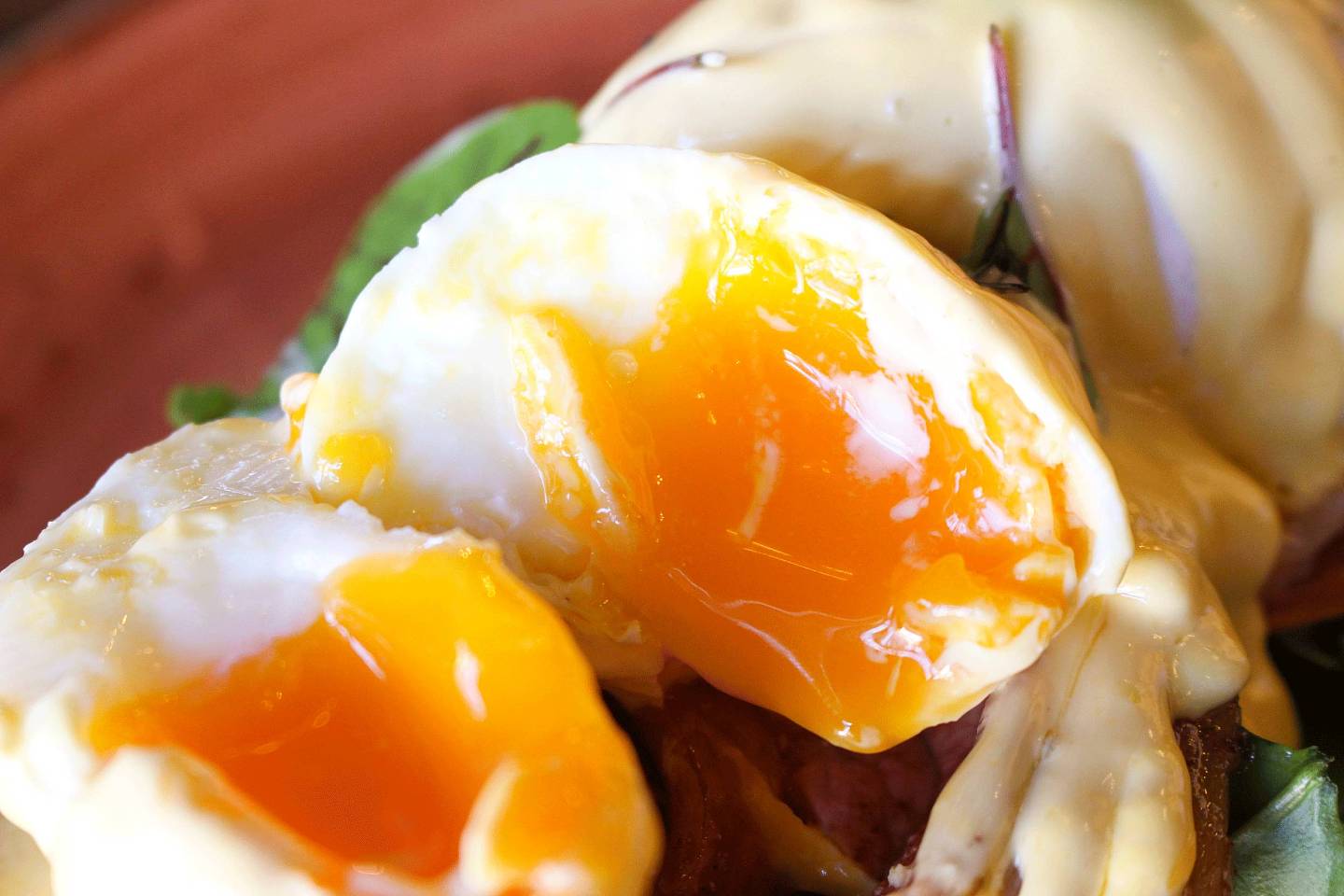 【悉尼探店 | 第一弹】7个小时，5份Eggs Benedict，走命测出最值得你吃的那一家！ - 20