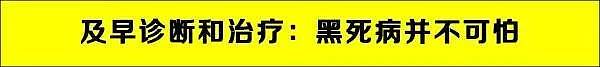 被跳蚤咬了要小心！这种病菌曾夺走2500万人的生命，如今又在美国出现... - 7