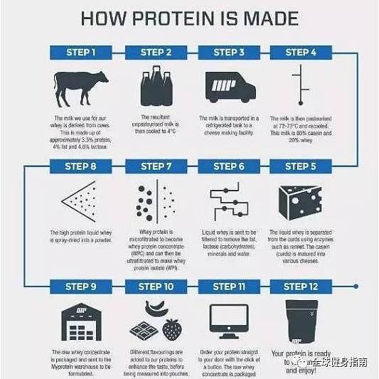 健身喝的蛋白粉，到底是怎么生产出来的？ - 5