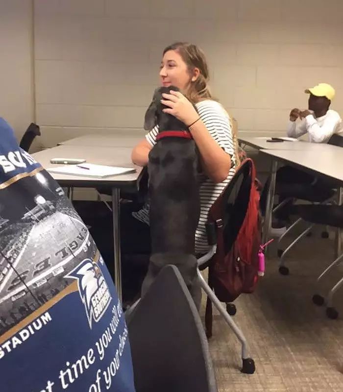 因飓风侵袭，一名大学生想带着狗狗一起上课，没想到老师的反应赞爆了！ - 9