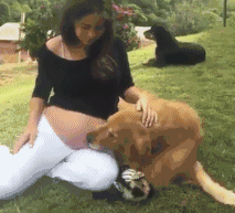 狗狗趴在怀孕妈妈肚子上睡觉，结果被宝宝踢地一脸懵逼…… - 2
