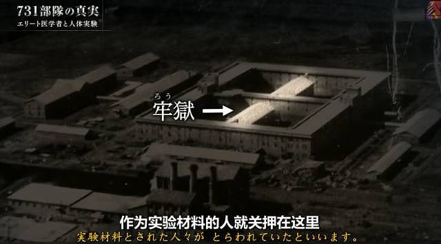 731部队真相曝光：日本人在中国犯下的这些罪行，每个中国人都不应该遗忘！ - 17