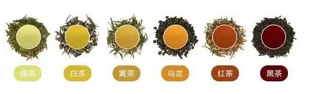 实用丨一次性把中国茶讲清楚（建议收藏） - 2