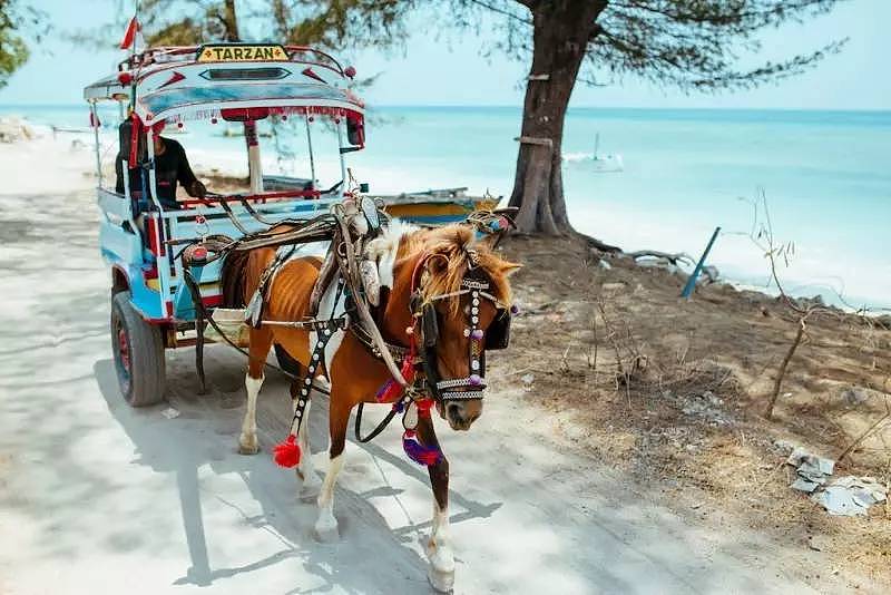 2017最受欢迎的超冷门海岛！不仅免签，还有全世界最美的海滩！ - 8