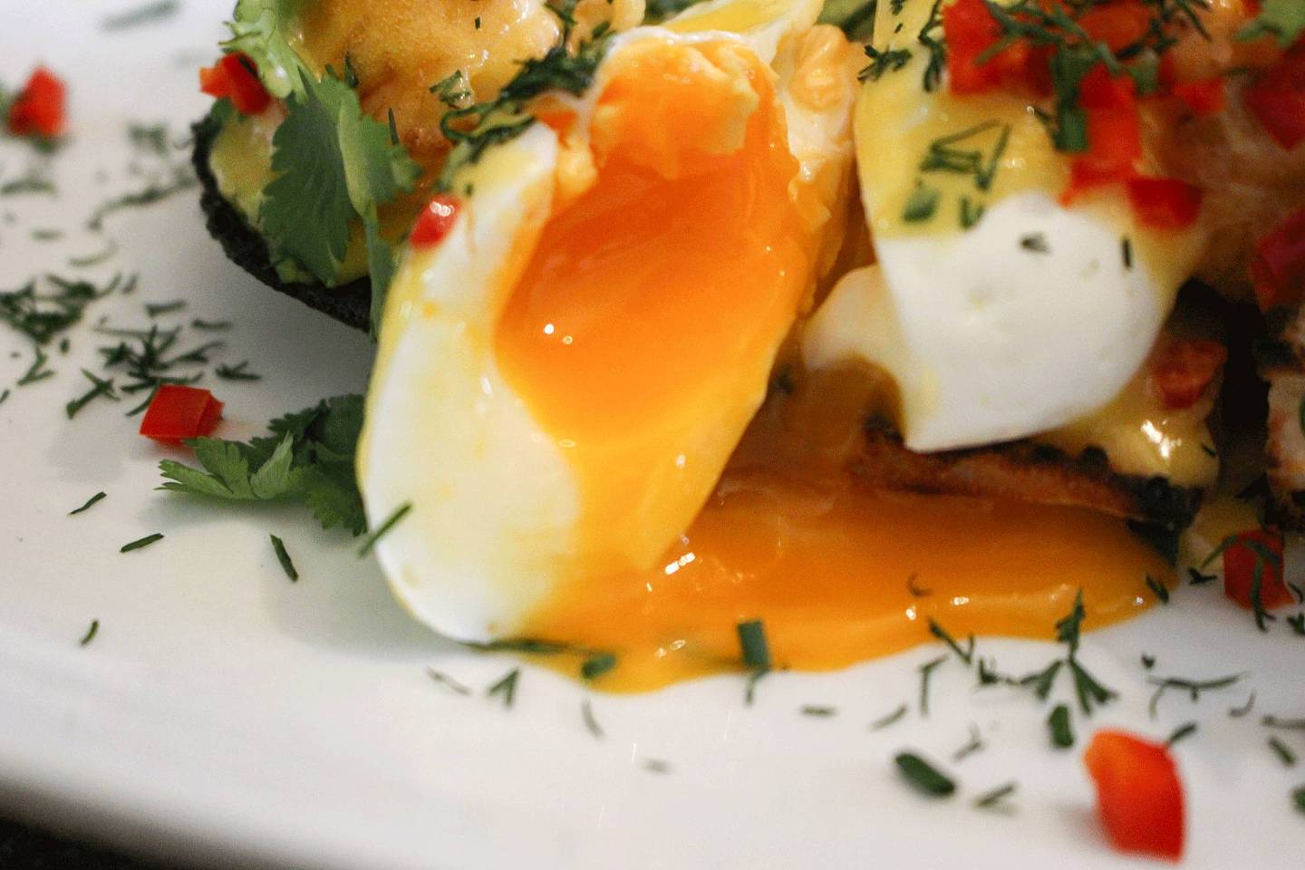 【悉尼探店 | 第一弹】7个小时，5份Eggs Benedict，走命测出最值得你吃的那一家！ - 50