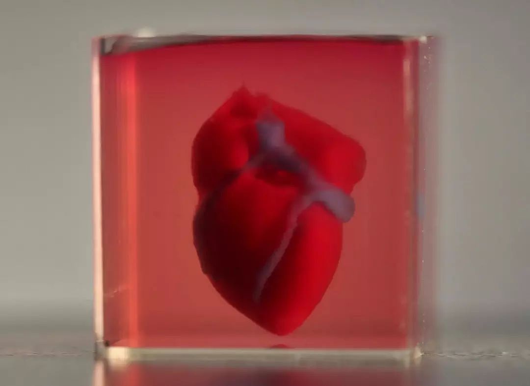 科学家打印了一颗人造心脏！只不过，它现在还有点小…… - 1