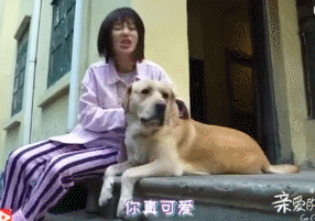 杨紫在拍摄《亲爱的热爱的》时，竟被它“嫌弃”了…… - 3