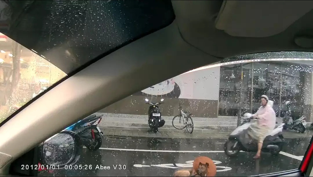 眼盲狗狗雨天坐在马路中央，妹子看到后的举动…这就是天使吧！ - 2