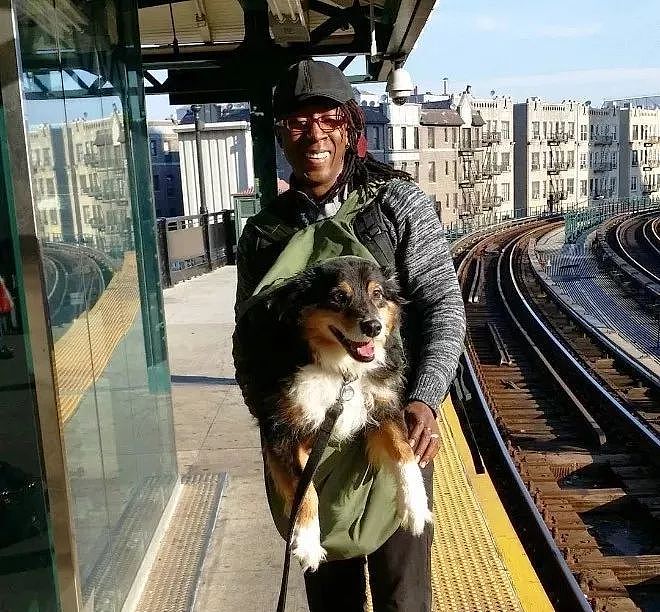 把狗装起来就能乘地铁！可这只萨摩耶却被拦了下来，原因是... - 4