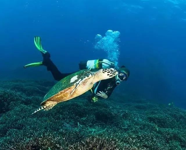 一年仅开放150天！泰国唯一敢叫板马代的潜水圣地，又开岛了！ - 19