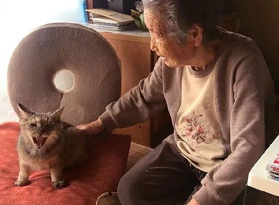 93岁的老奶奶，每天还在编织杯垫卖，只为给流浪猫换猫粮钱！ - 4