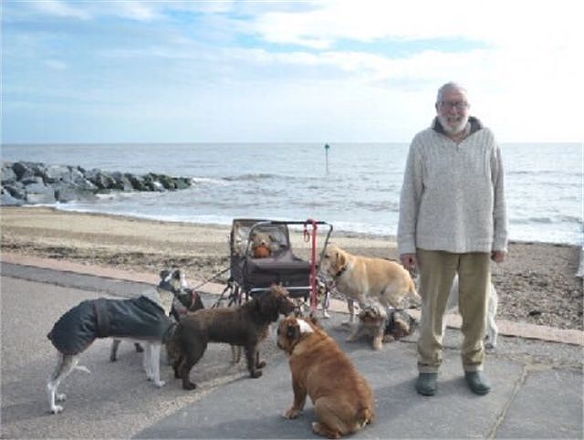 79岁的老爷爷，每天遛八九只狗，背后的原因太暖心了！ - 3