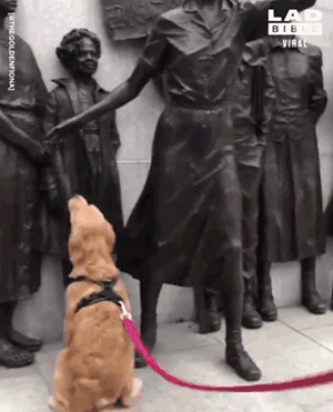 当一只色狗偶遇一座雕像狗：这狗我能上吗？ - 10