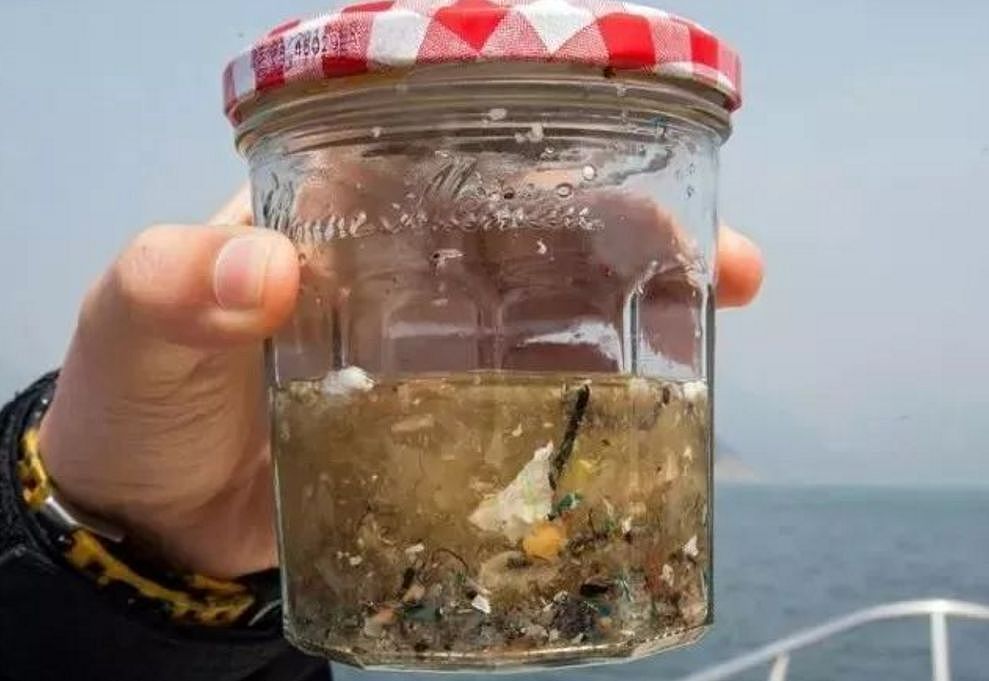科学家警告：你吃的不是海鲜，你一年可能吃了上万块塑料！ - 6