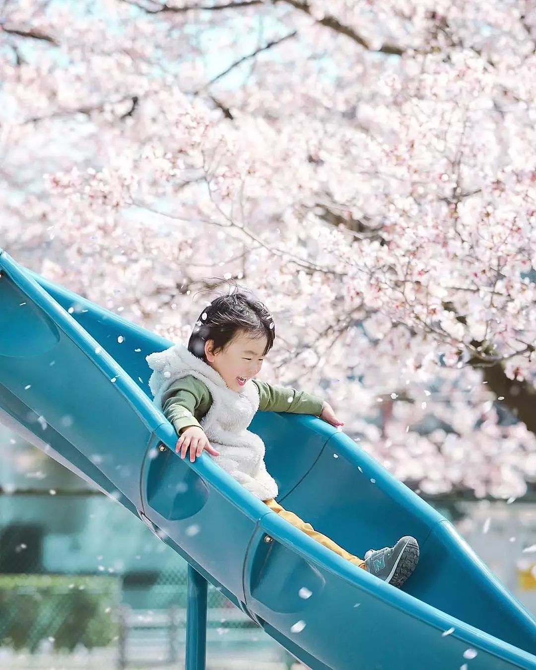 日本妈妈偷拍樱花树下的儿子，美成宫崎骏童话，治愈无数人 - 16